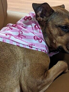 2 For $5 Item: Pink Stripes & Bows Dog Bandana NEW!